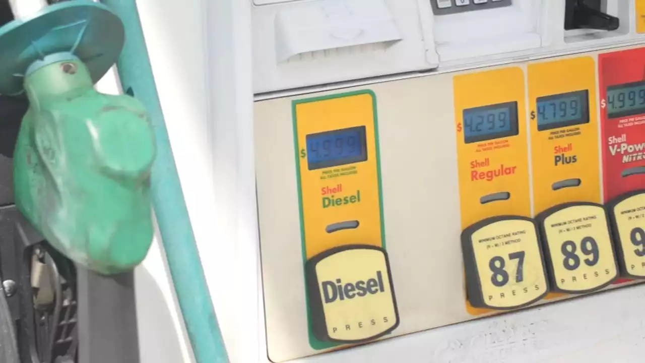 Rising cost of diesel could mean higher prices for consumers: 'The prices are outrageous'