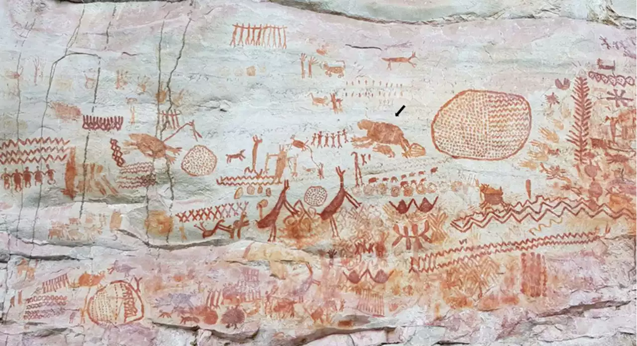 Giant Sloths, Ancient Elephants, and Ungulates: Prehistoric Rock Art in the Amazon May Depict Extinct Ice Age Animals, a New Study Says | Artnet News