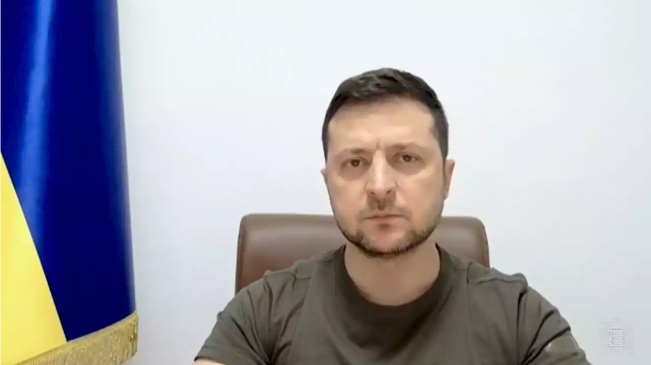 Zelensky says Russia's children's hospital strike 'proof genocide of Ukrainians taking place'