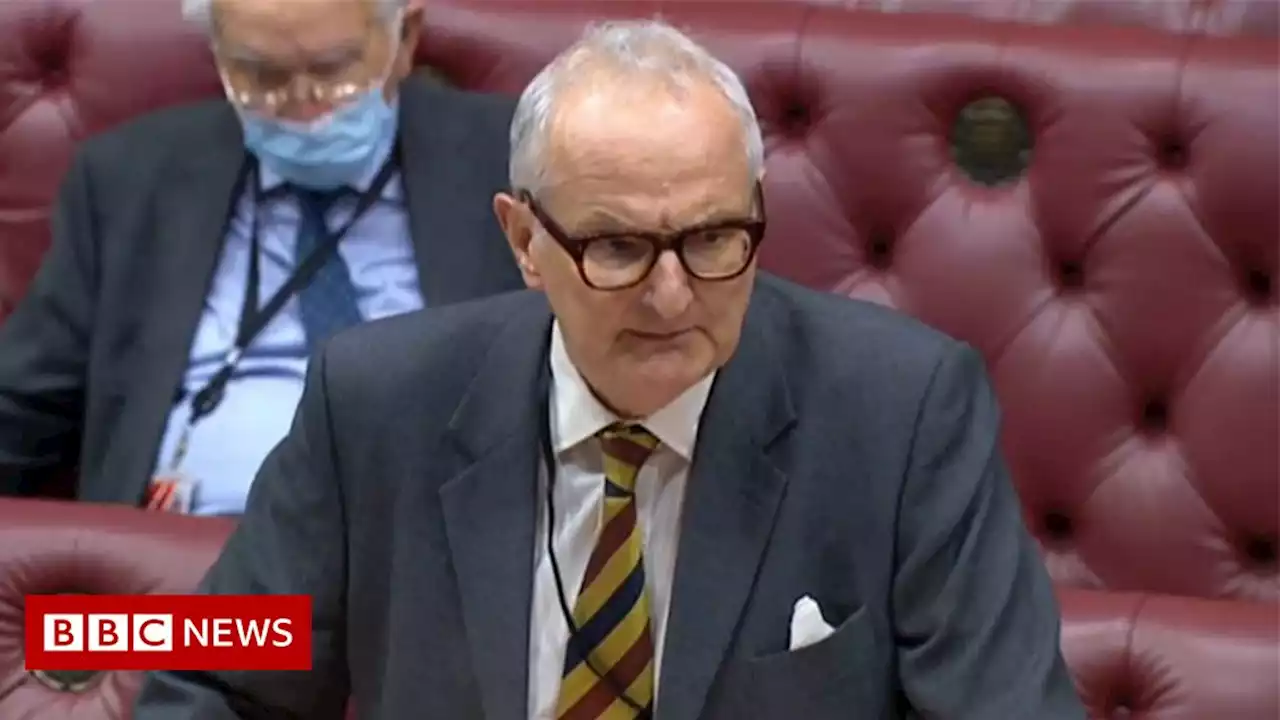 Covid: Government's anti-fraud efforts was like Dad's Army operation, says ex-minister