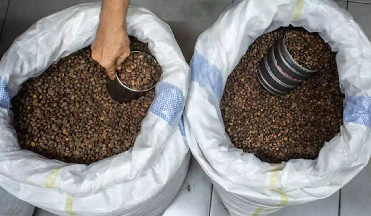 Polri Selidiki Temuan Kopi dan Jamu Mengandung Bahan Kimia