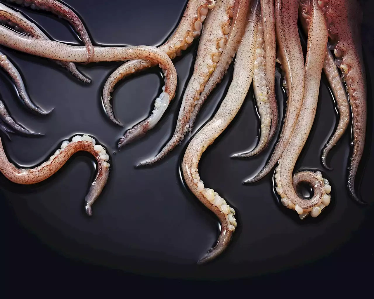 Scientists named this terrifying vampire-like cephalopod after Biden