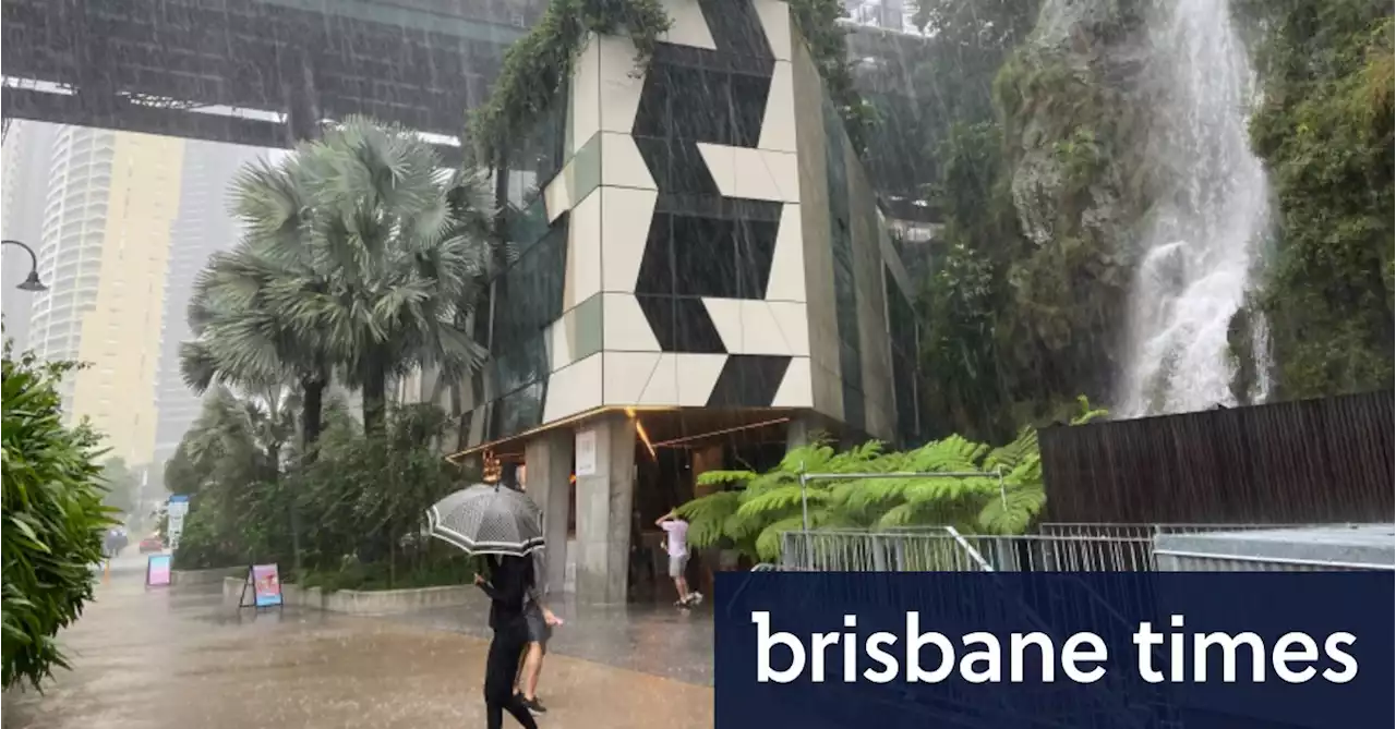 ‘Rain gardens’ could help Brisbane avoid next flash flood, expert says
