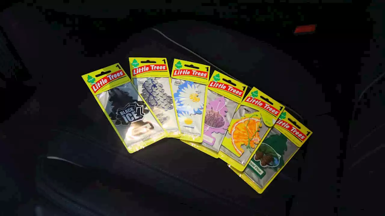 Little Trees Car Fragrances Now Available On Lazada, Shopee | CarGuide.PH | Philippine Car News, Car Reviews, Car Prices