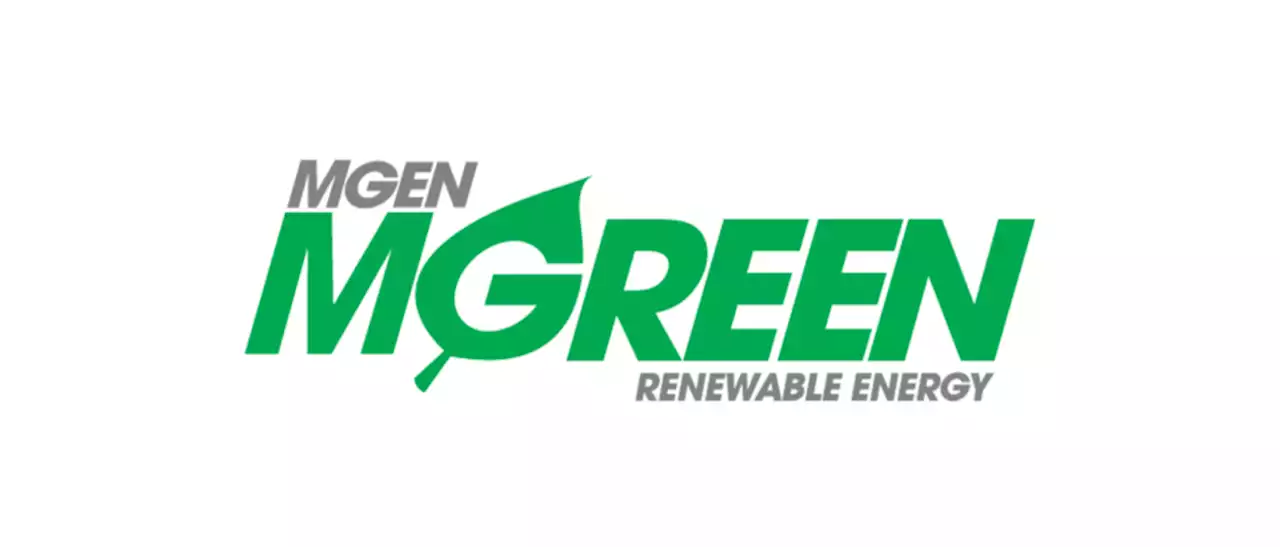 MGreen partners with Vena Energy for 68MWac solar project in Ilocos Norte