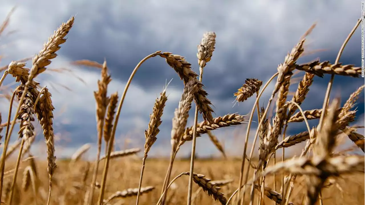 Analysis: Forget oil prices. Watch the cost of bread