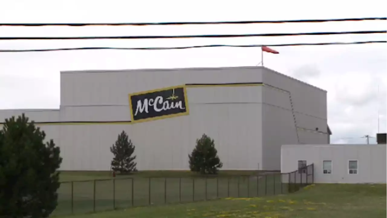 McCain Foods suspends shipments to Russia, ends production facility project