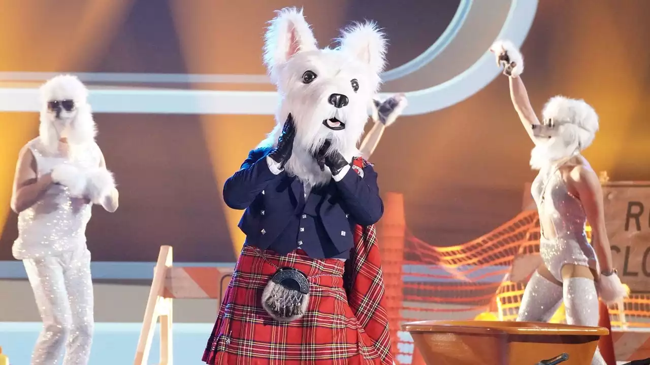 'Masked Singer': McTerrier Accidentally Unmasks Himself