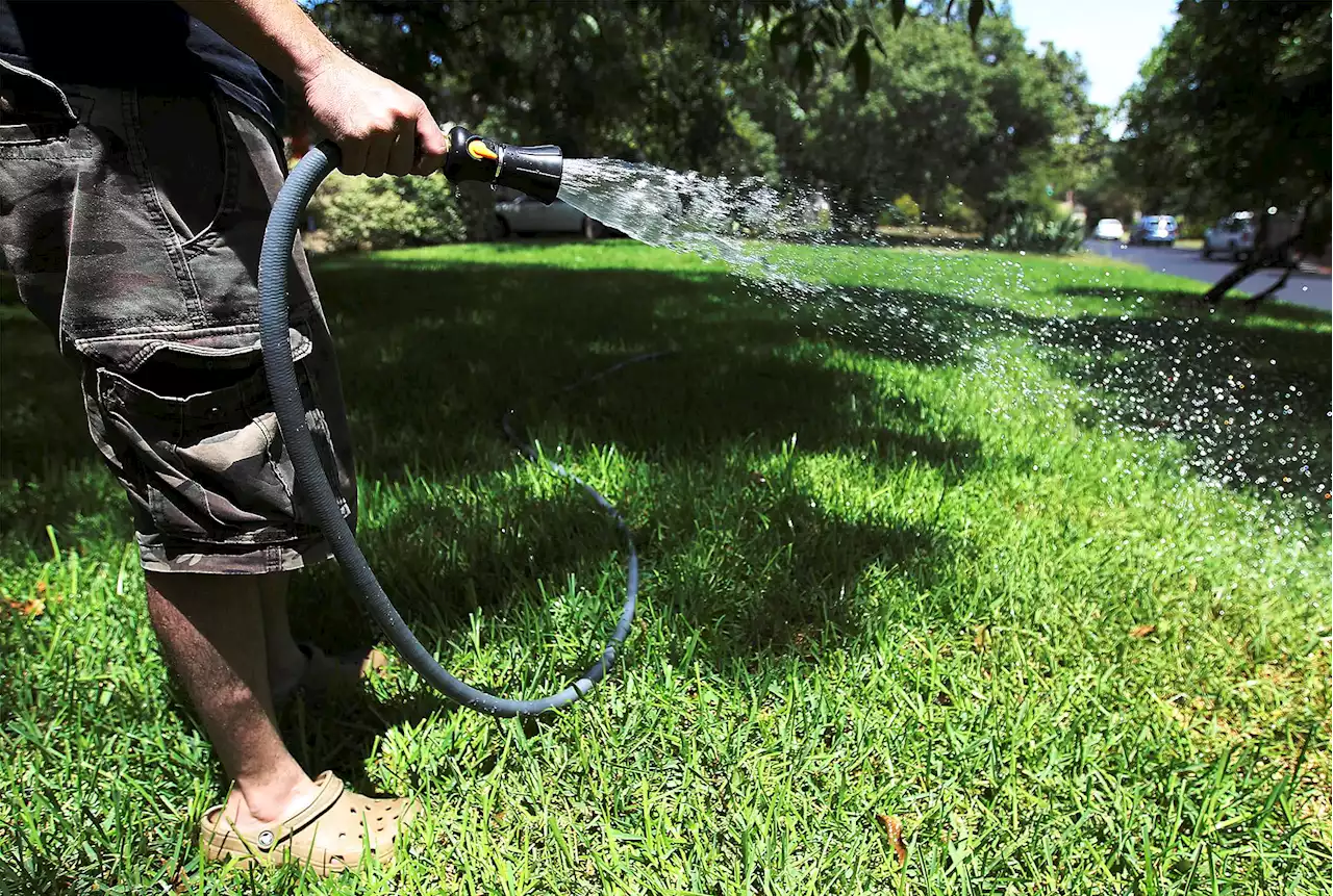 Live in Alamo Heights? Check out when you may water your lawn when water restrictions take effect Friday