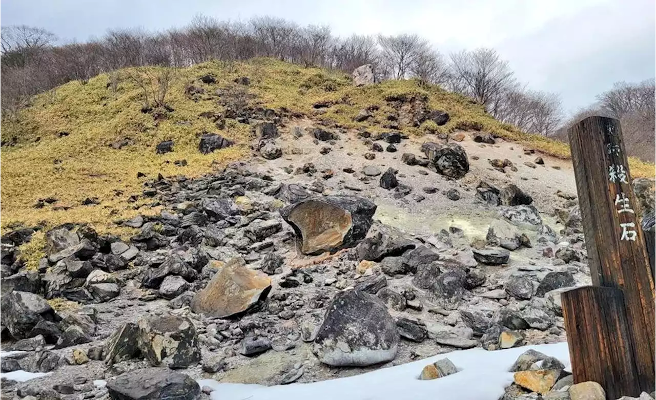 Qué es la “piedra asesina” de Japón y por qué su ruptura desató todo tipo de premoniciones