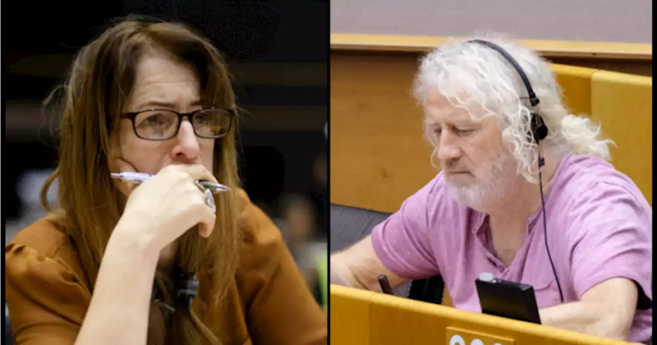 Irish MEPs offices targeted with Nazi stickers in Strasbourg | JOE.ie