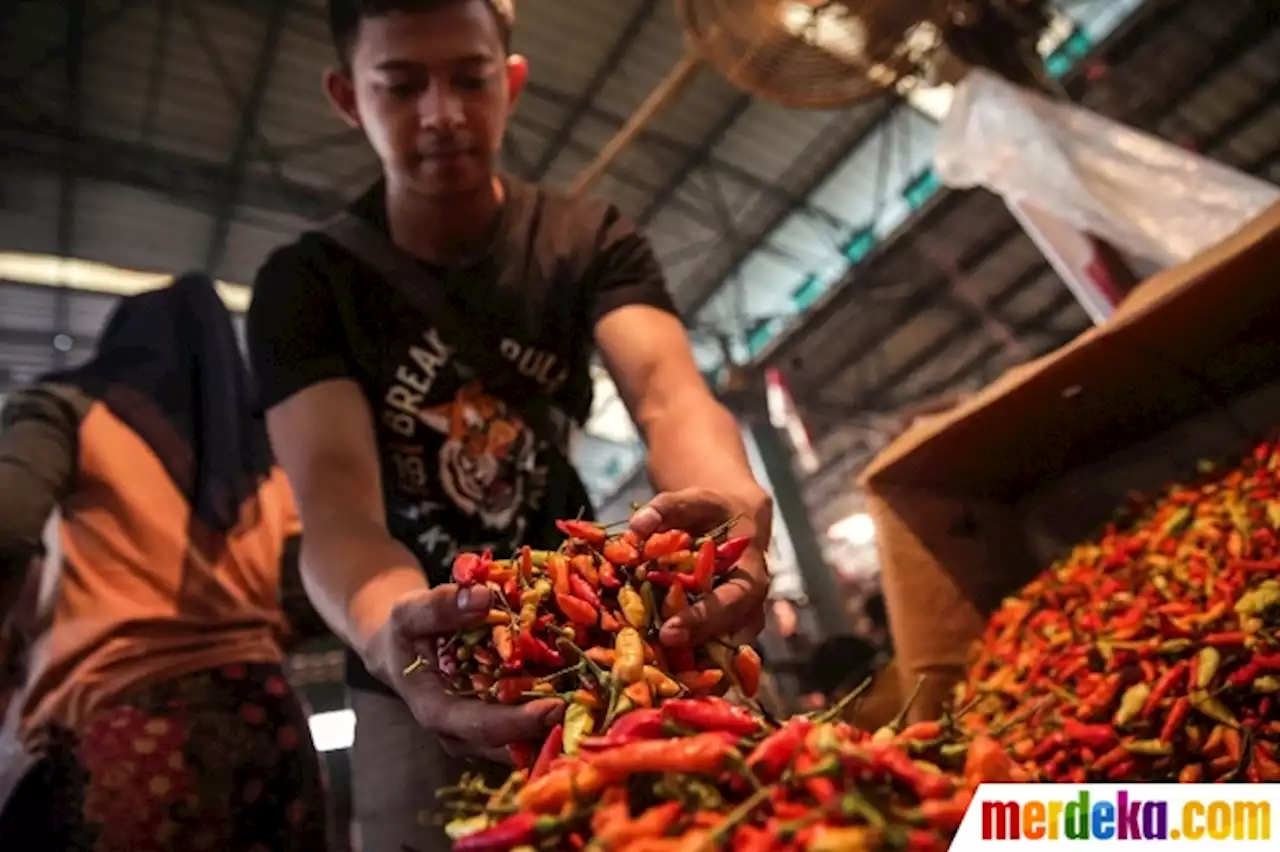 Foto : Pasokan Turun, Harga Cabai Rawit Merah Merangkak Naik | merdeka.com