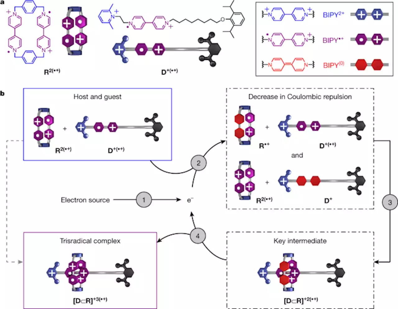 Electron-catalysed molecular recognition - Nature