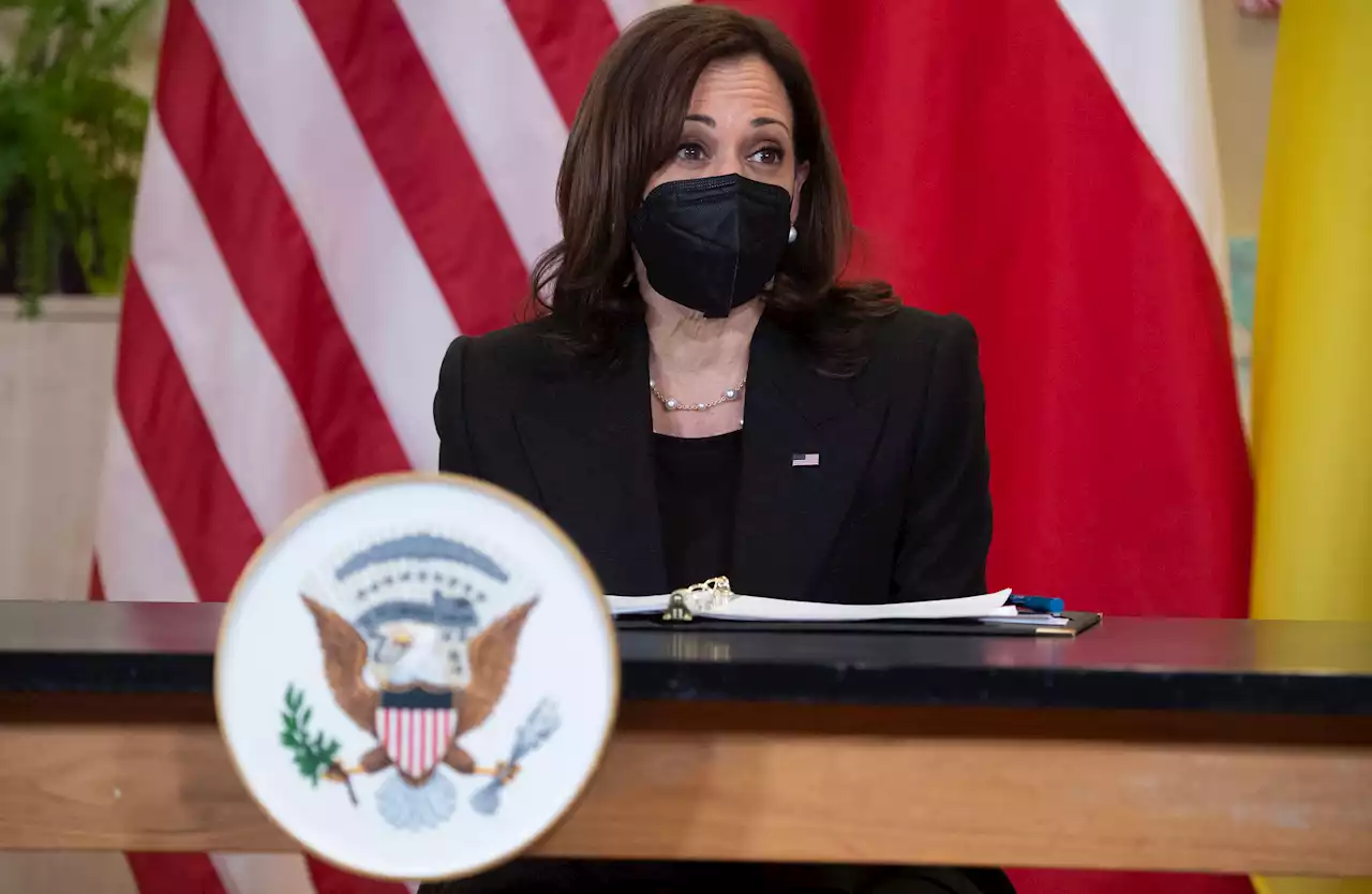 VP Kamala Harris Embraces Call for War Crimes Probe of Russia