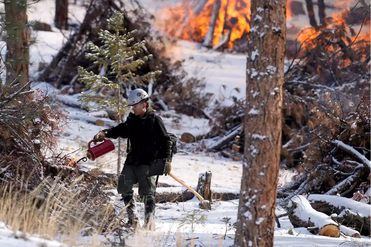 Changing Snowfall Makes It Harder to Fight Fire With Fire