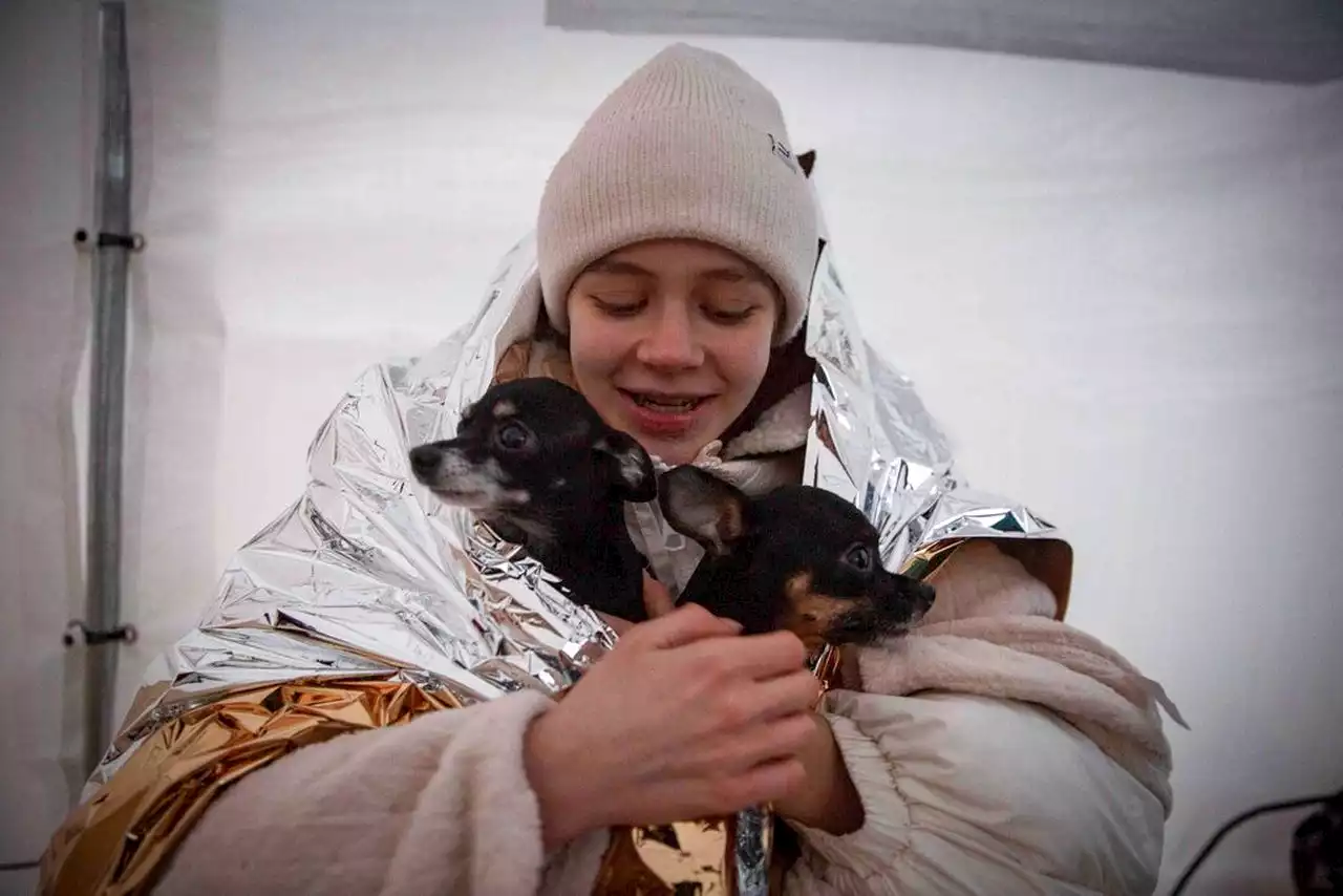 Ukrainians fleeing war ‘can’t leave’ pets behind: Photos