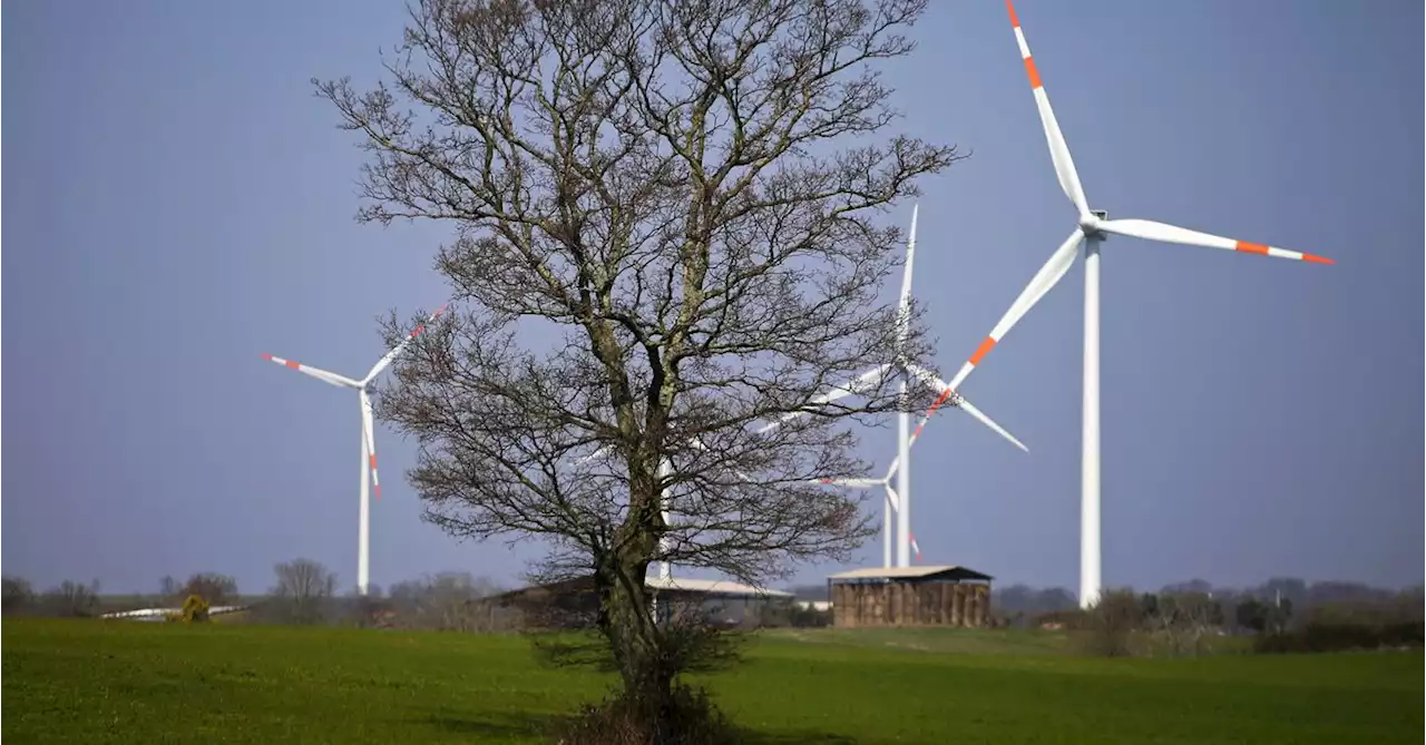 Italy gives green light to six wind farms in renewables drive