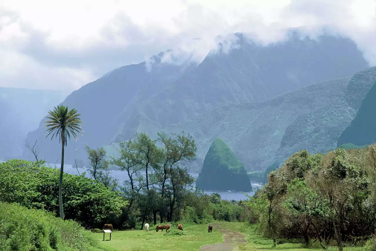 Hawaii’s last ‘banished’ community suffers amid the pandemic