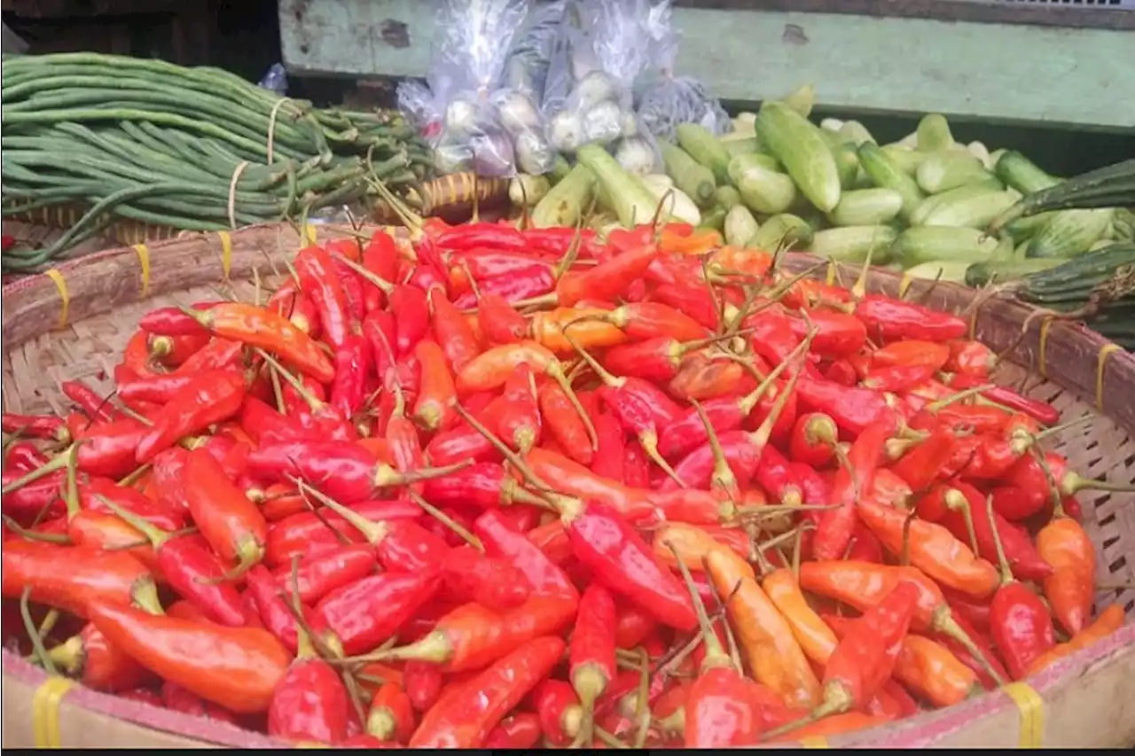 Jelang Puasa Harga Cabai Rawit di Majalengka Naik, Rp70 Ribu Per Kilogram