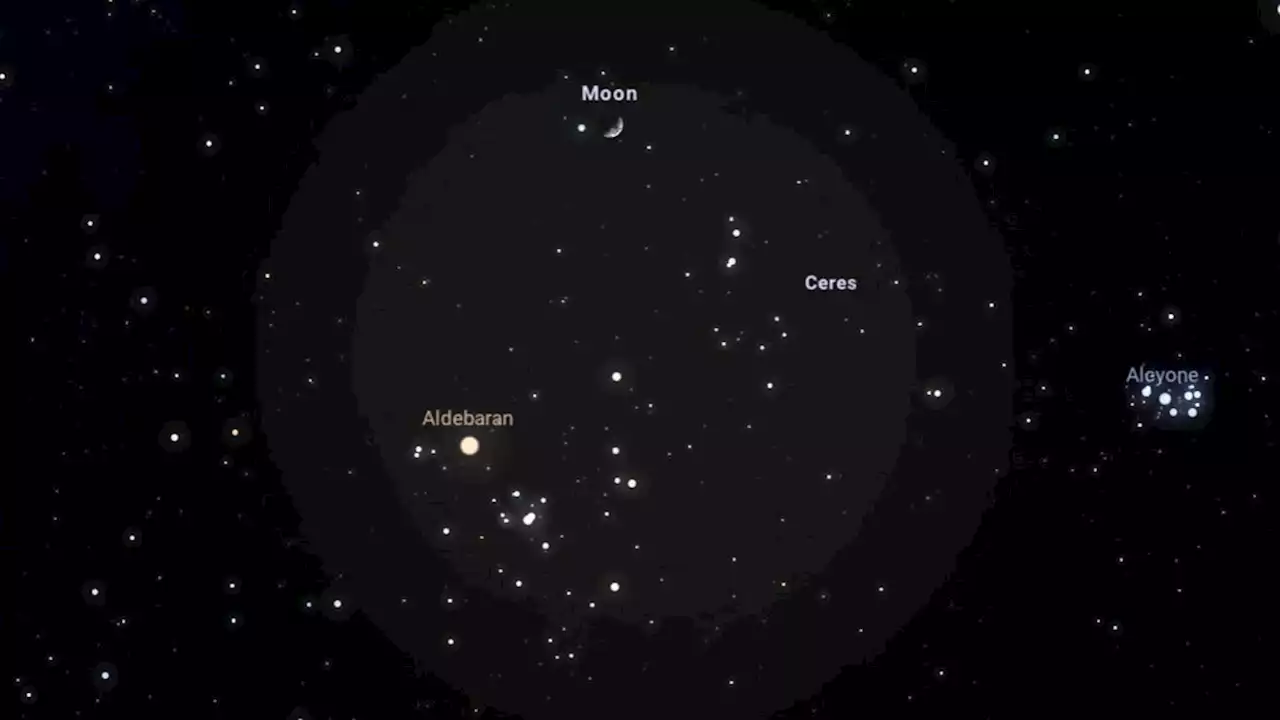 Watch the moon cross Taurus the Bull in the night sky this week