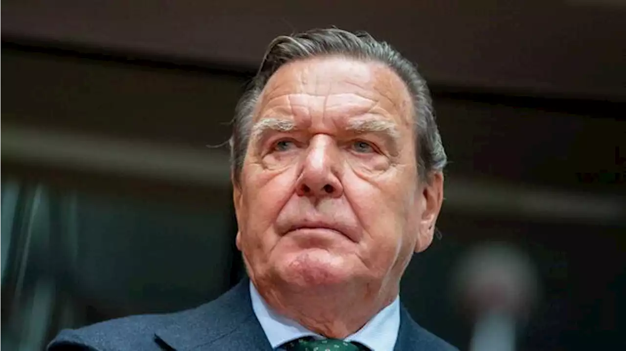 Schröder offenbar zu Gesprächen bei Putin - Bundesregierung nicht informiert