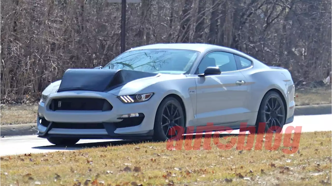 This mystery Ford Mustang Shelby GT350 mule has something odd under its hood