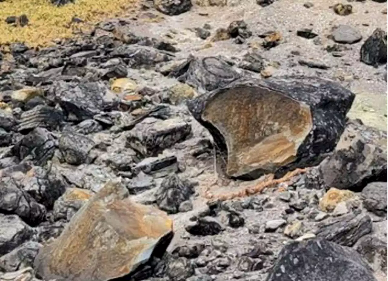 Japanese 'killing stone' some believe has demon inside splits in two