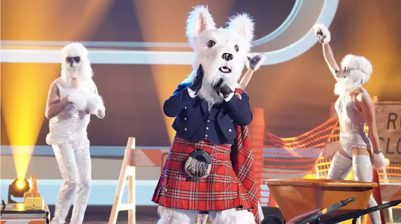 ‘The Masked Singer’ Season 7 Premiere Reveals Identity of McTerrier, After Unprecedented Costume Malfunction