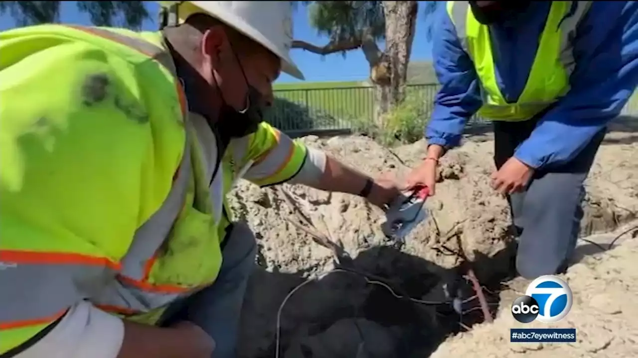 Conservation Corps of Long Beach helps youth work on job skills while improving the community