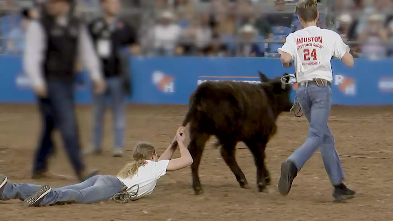 Behind the scenes at the Houston Livestock Show and Rodeo's Calf Scramble