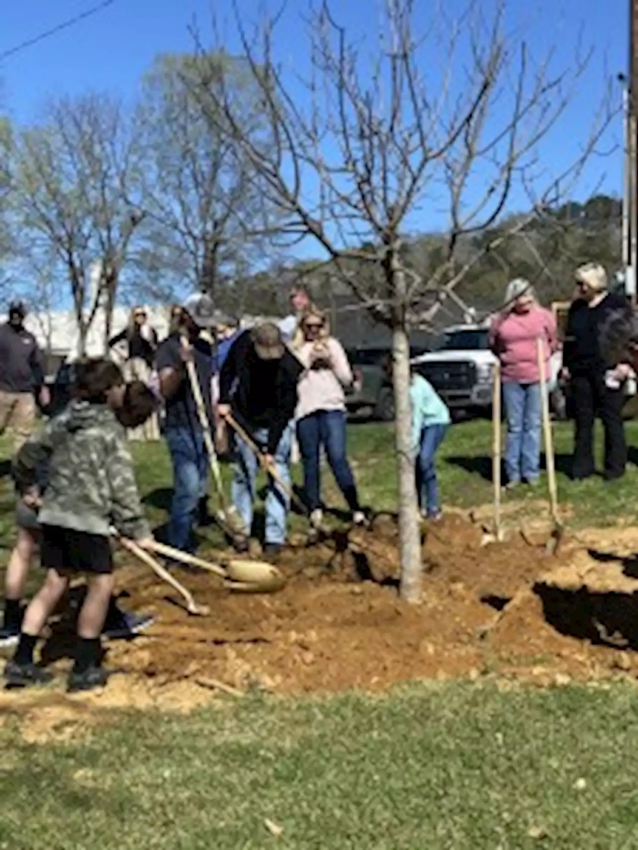 City of Wetumpka Plants Tree in Honor of 'Jelly Lady' on Arbor Day - Alabama News