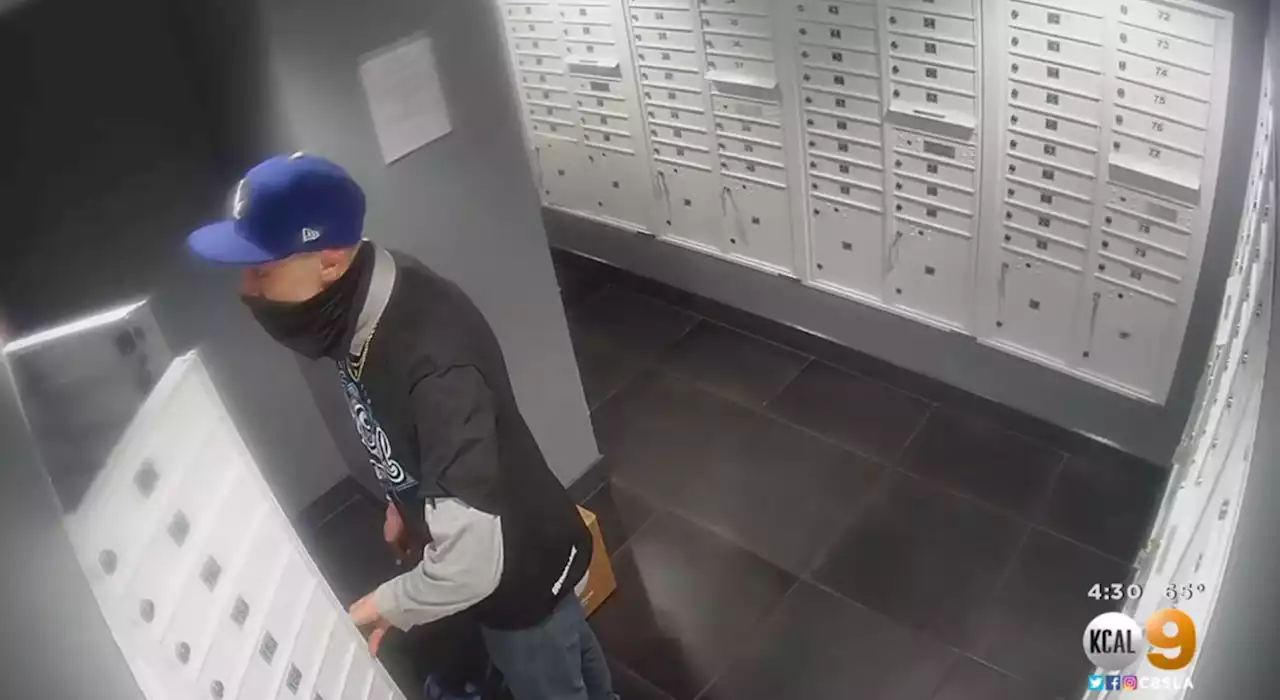 Thief Drain Couples' Nearly $50K Bank Account After Stealing Their Mail