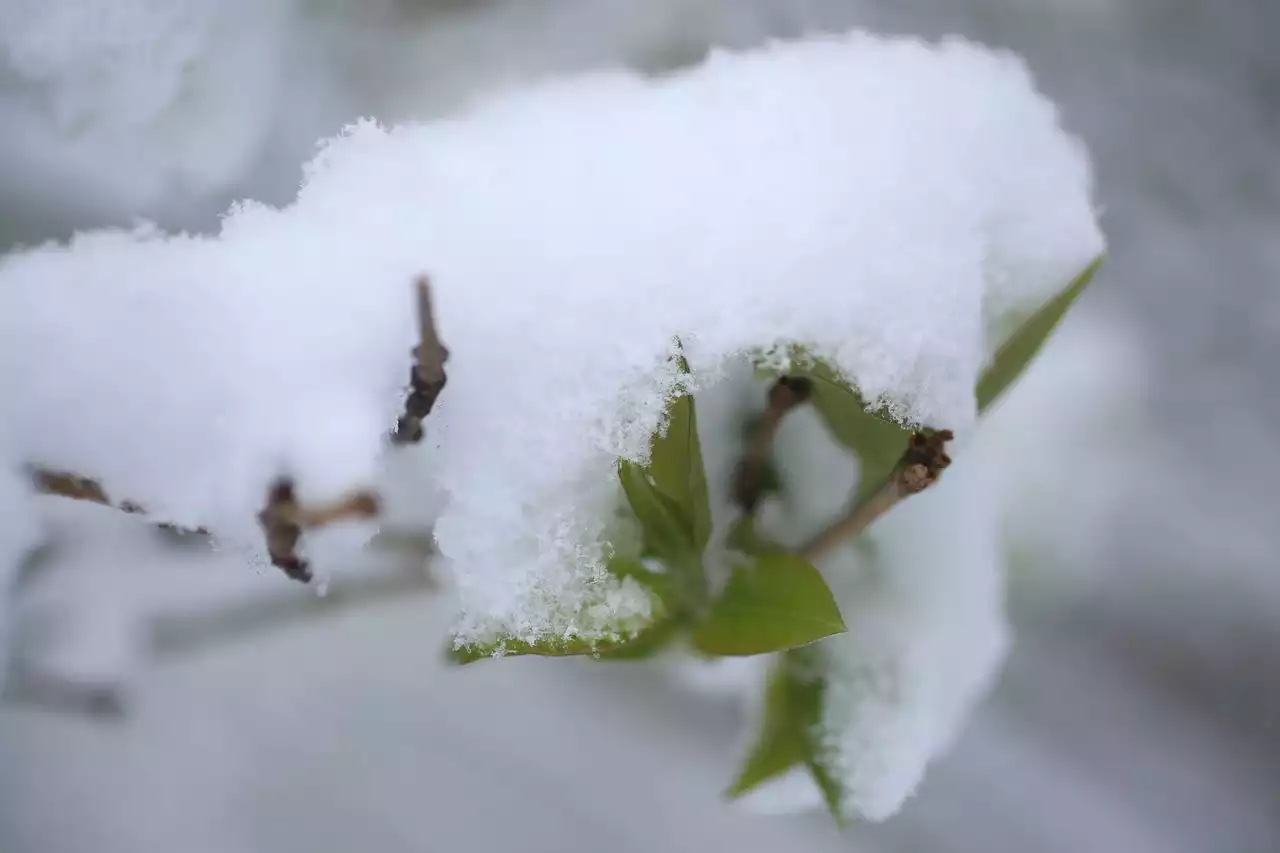 Winter weather advisory says up to 5 inches of snow possible for parts of NE Ohio