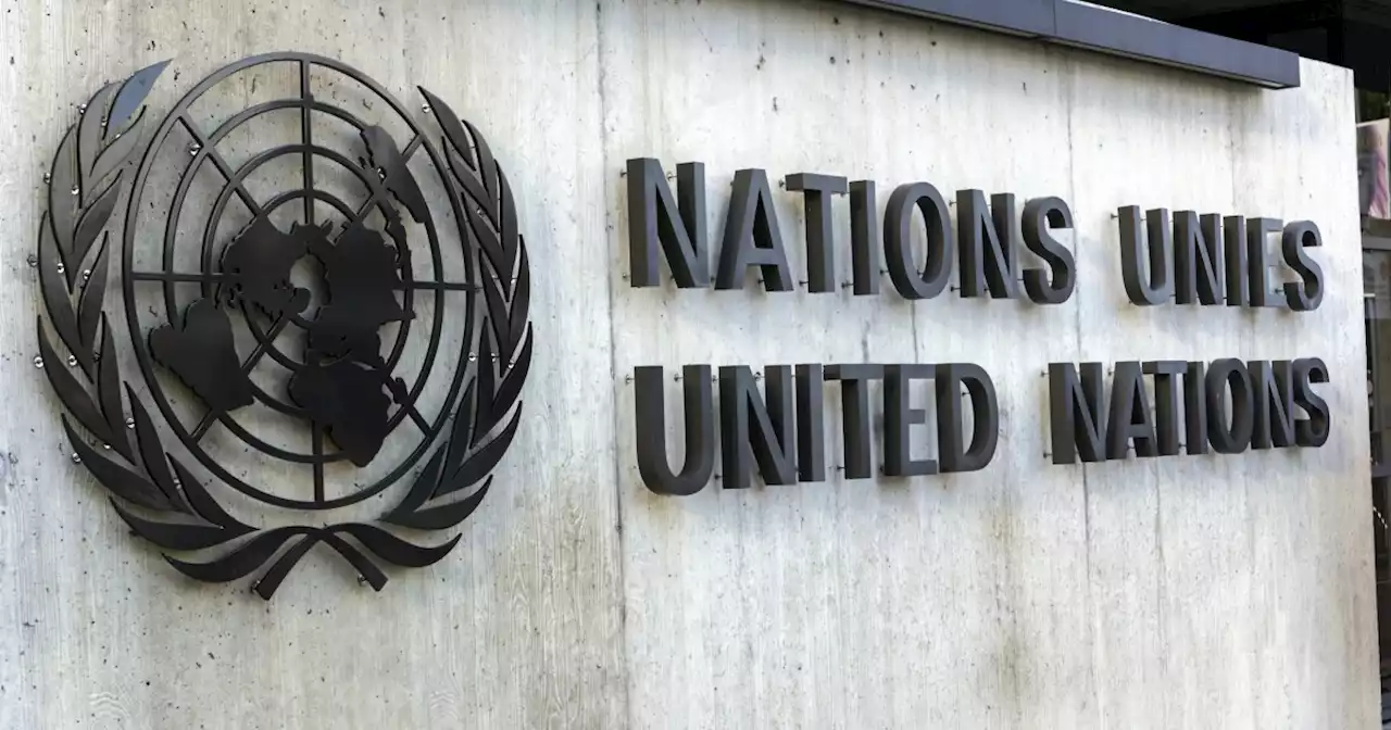 Senate must block omnibus funding for UN antisemitism