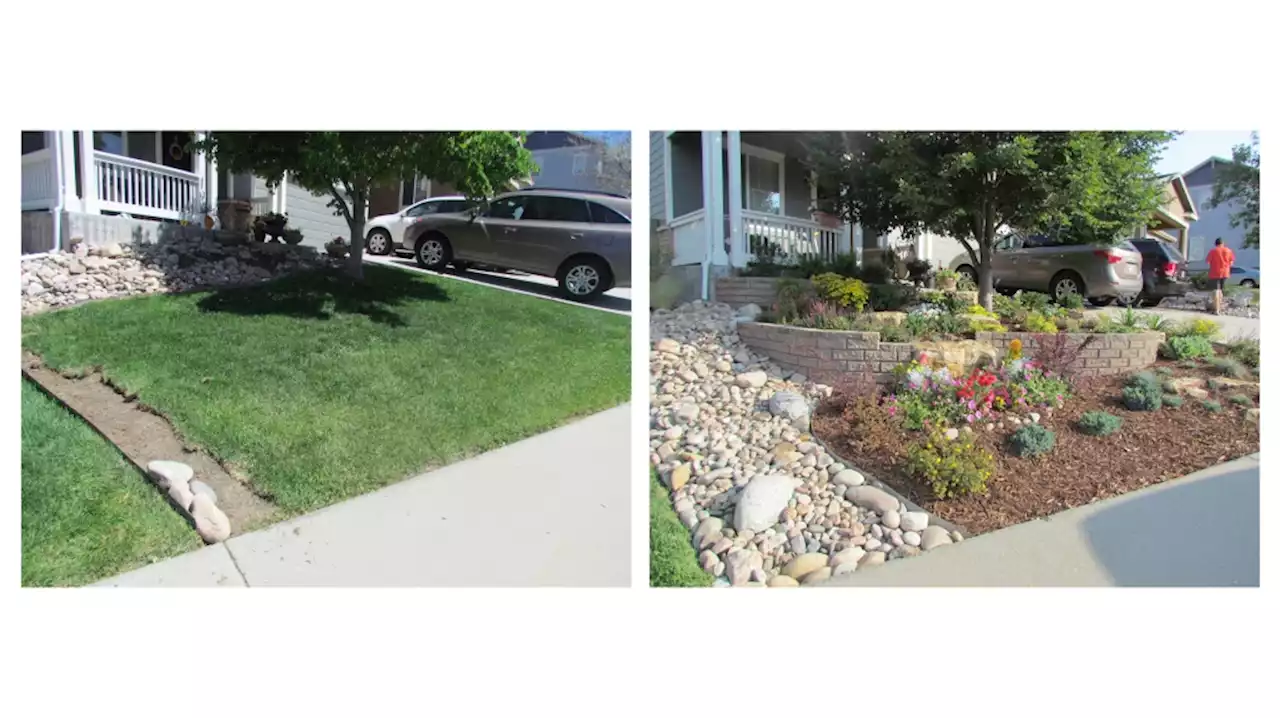 Cash for grass: Colorado would pay you to abandon your lawn under water-saving proposal