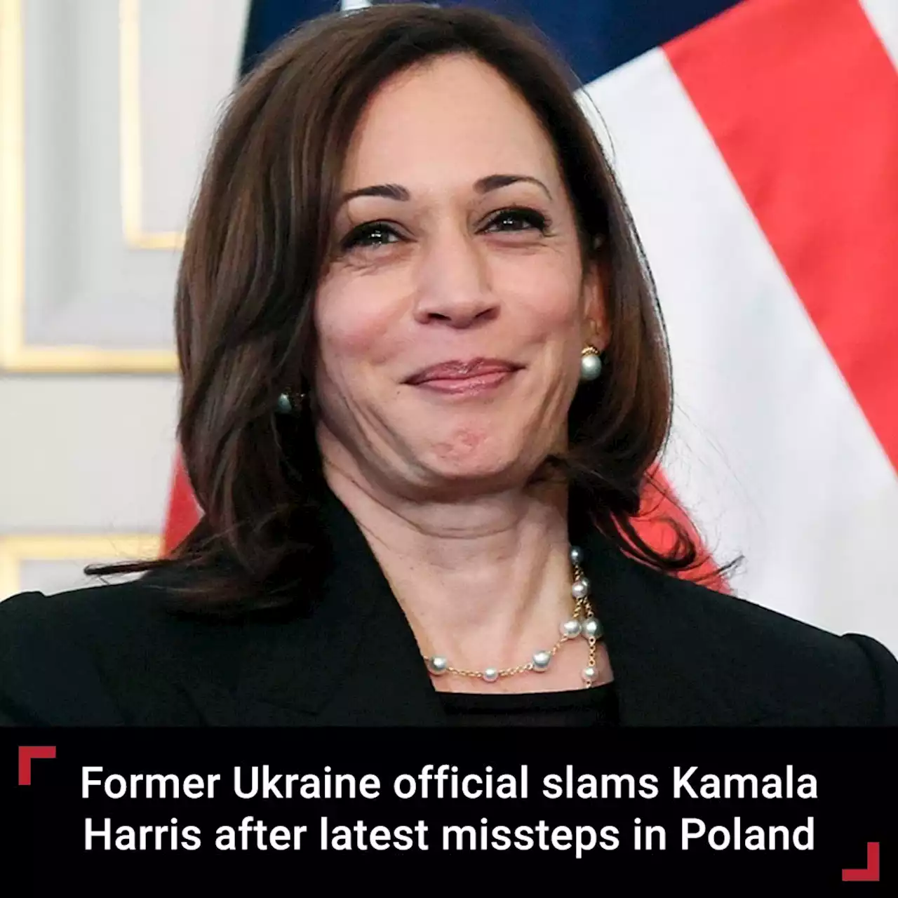 Former press secretary to Ukrainian president says it would be 'tragedy' if Kamala Harris becomes president