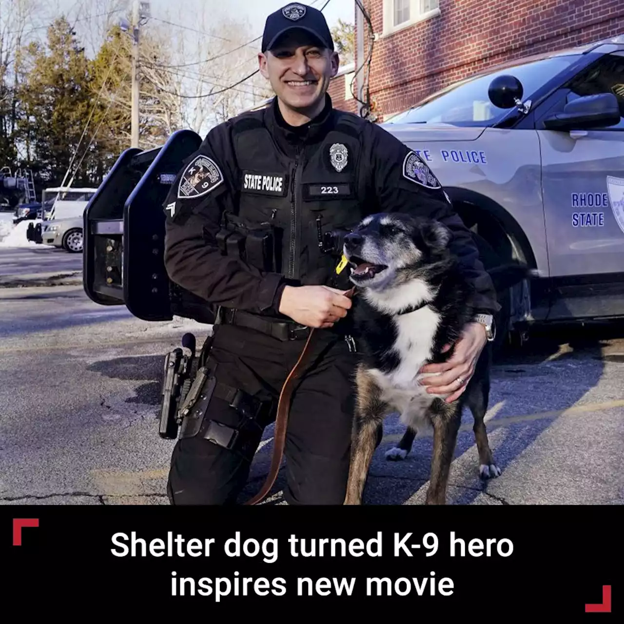 Shelter dog turned K-9 hero inspires Netflix movie