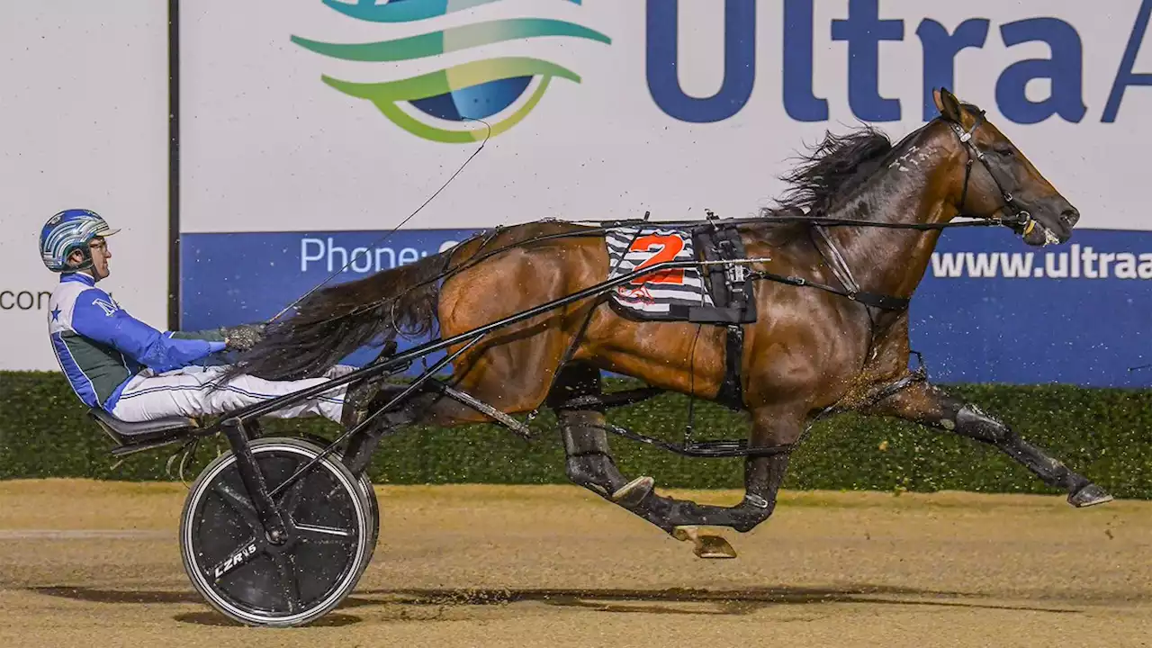 The prince fighting for King’s crown amid bid for third straight $1m Miracle Mile win