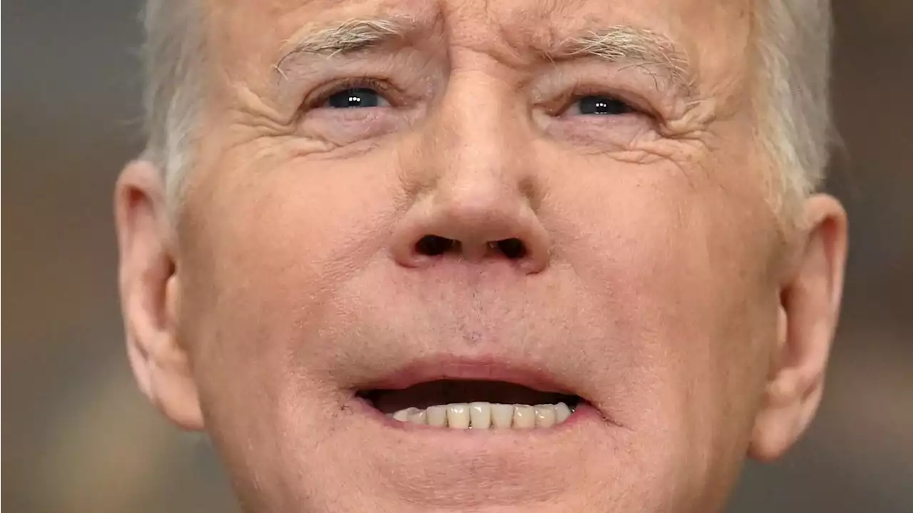 Joe Biden taler til polske folkevalgte