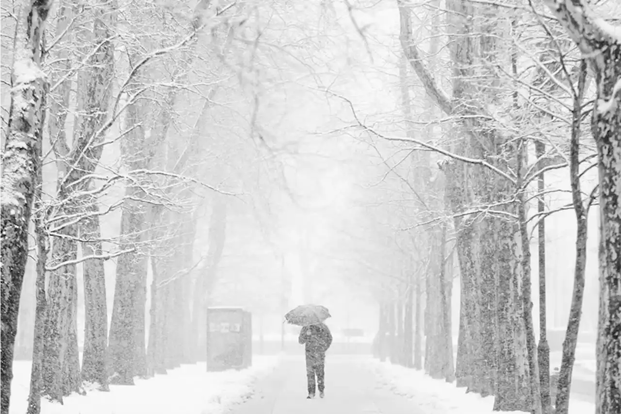 Snow, a flash freeze, and 40 mph wind gusts are possible Saturday in the Philly region