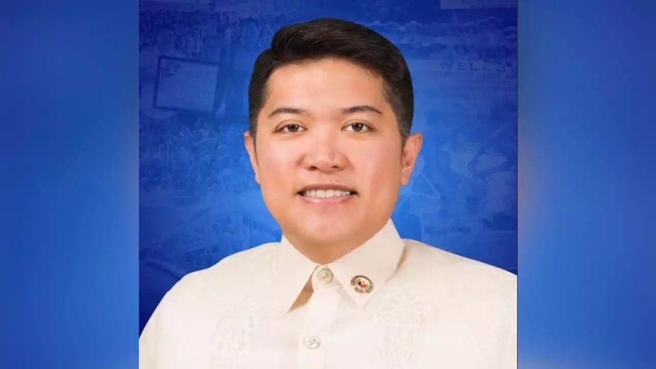 Iloilo congressman goes against his party's choice, endorses Robredo