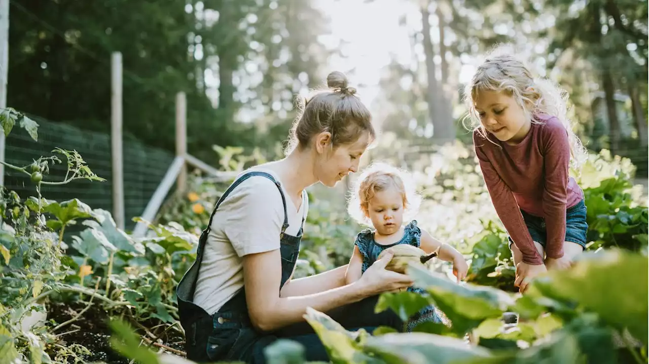 Garten-Trends 2022: Hoch hinaus mit Hochbeeten und Teichen