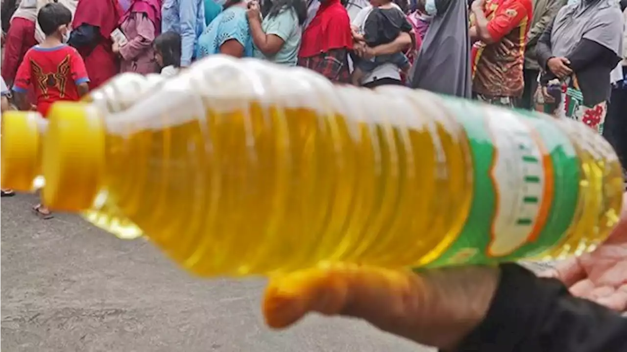 Minyak Goreng Dijual Rp 70 Ribu per Liter, Konsumen: Harga Gila-Gilaan