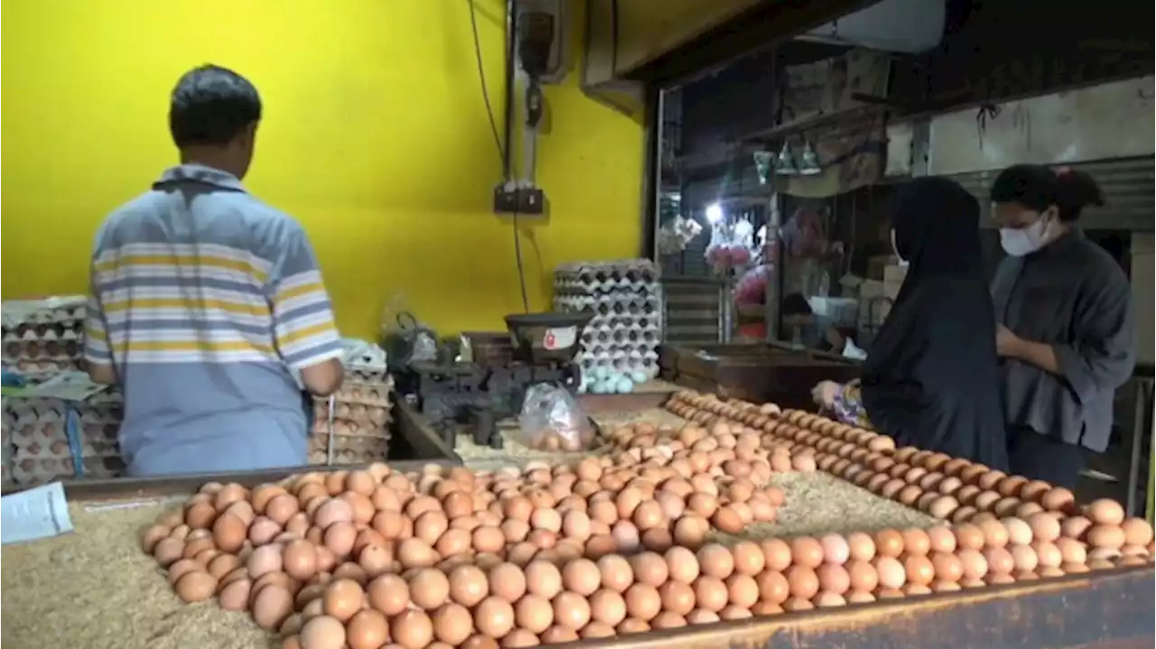 Menjelang Ramadhan, Harga Telur Ayam di Pasar Tradisional Tembus Rp 27 Ribu per Kilogram