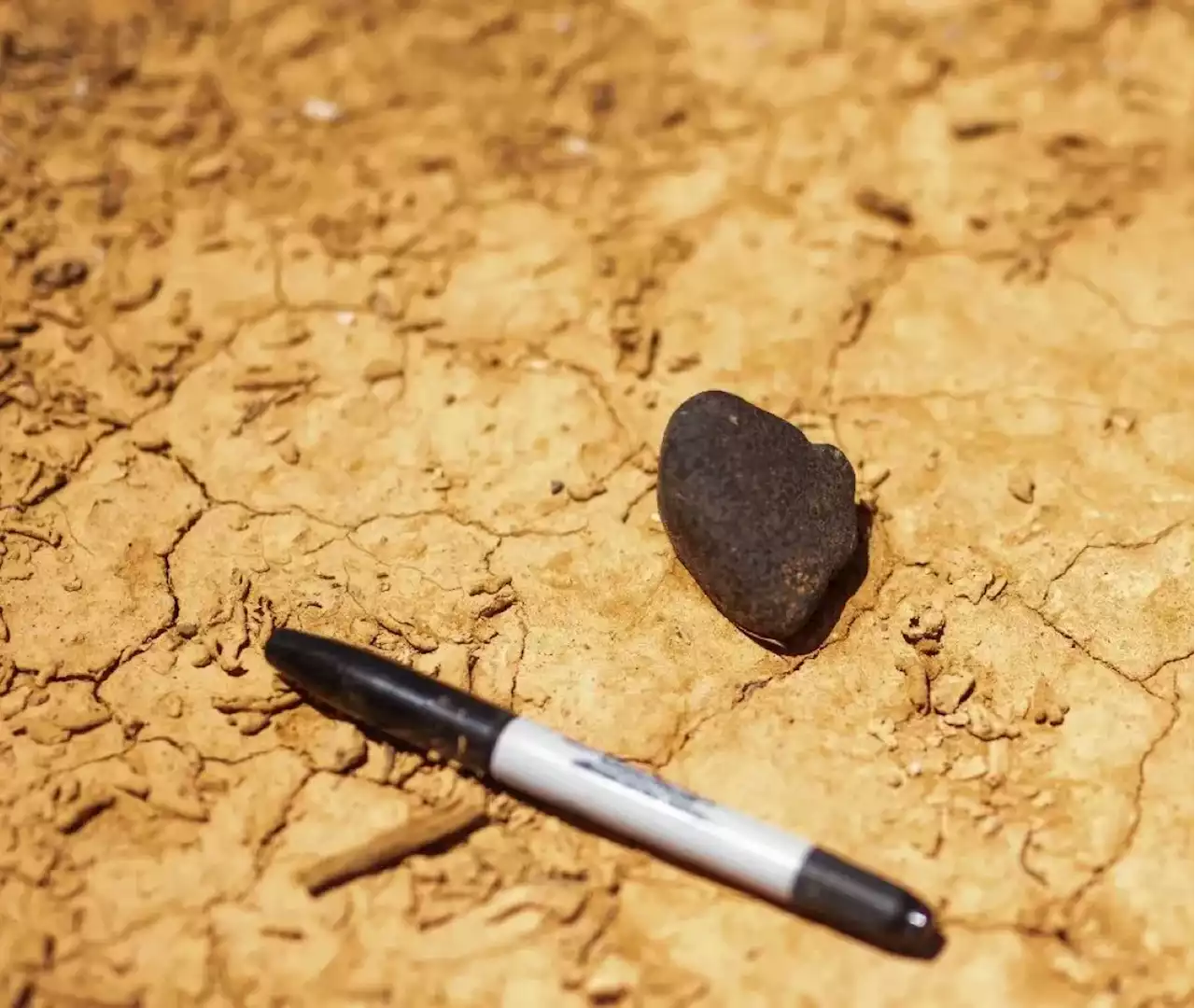 A Meteorite Recently Crashed Into Australia. A Drone Scoured the Area and Found it - Universe Today