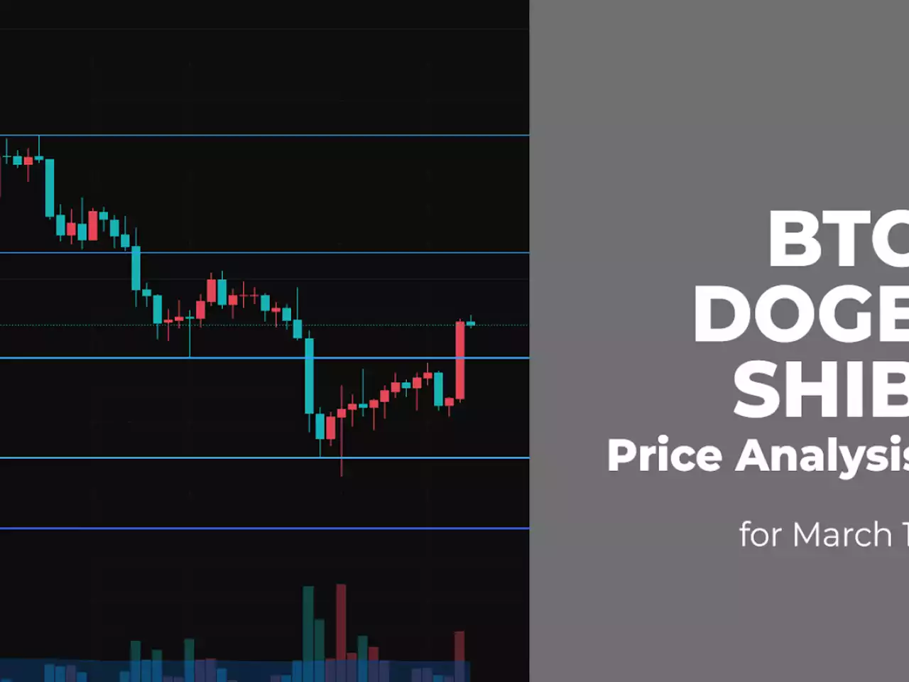 BTC, DOGE and SHIB Price Analysis for March 11