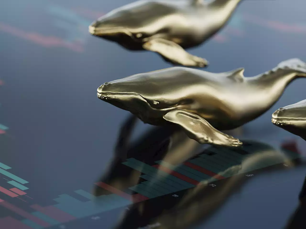 SHIB, MATIC, SAND, FTT Are Among Top 100 ETH Whales’ Holdings: Report