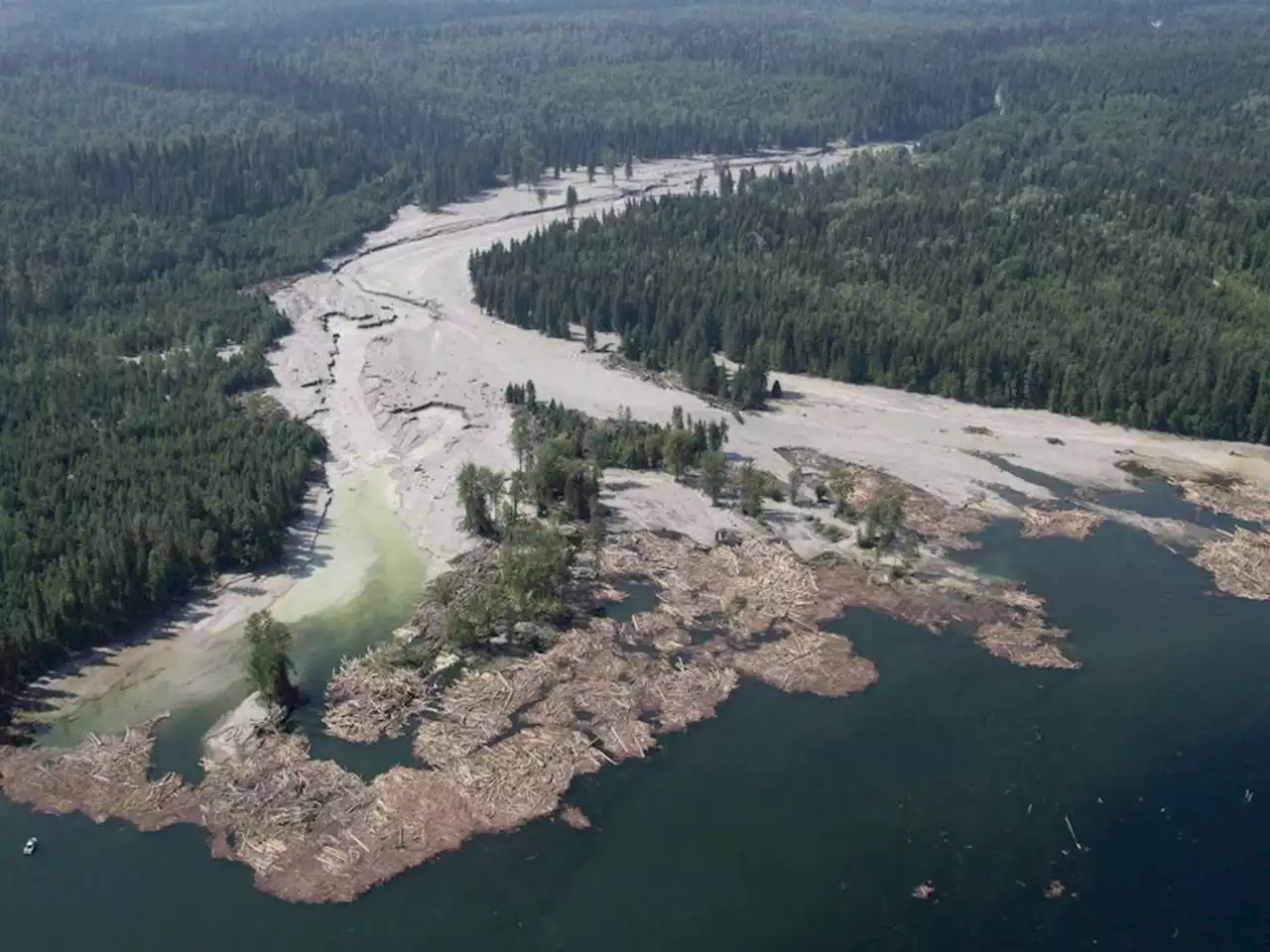 Three engineers disciplined for their role in 2014 Mount Polley mine spill