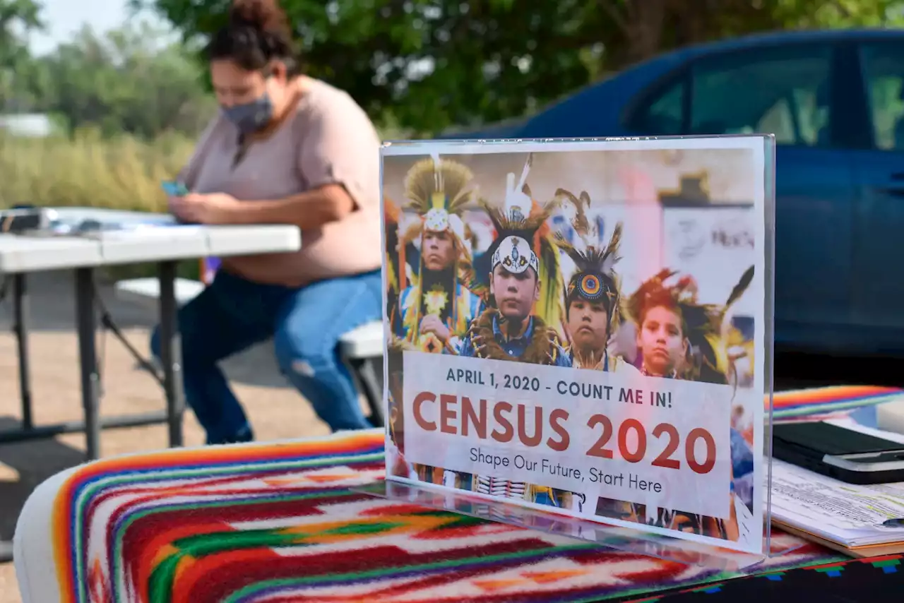 2020 Census undercounted Latinos, Blacks and Native Americans, bureau estimates show