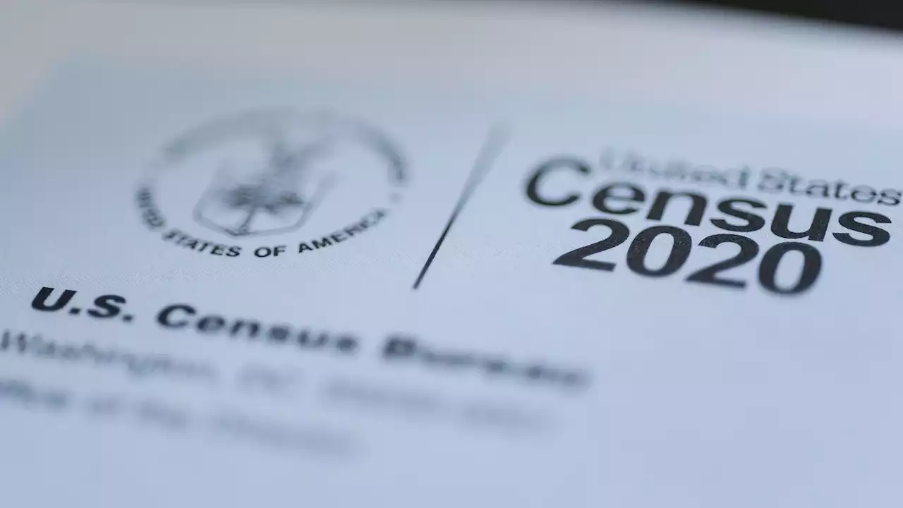 Some Minority Groups Missed at Higher Rate in 2020 US Census